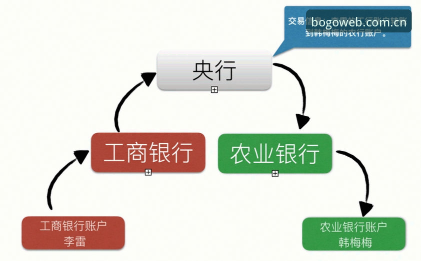 博狗体育平台最新动态：官方网站对比全解析，用户数据与支付体验深度揭秘