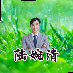 陆婉清